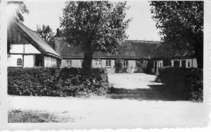 Hestebedgård, Kattekærstrædet 10, 1950